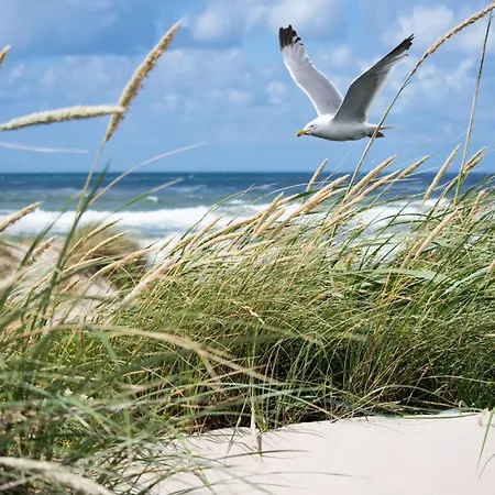 Near Belgian Coast With Terrace דירה