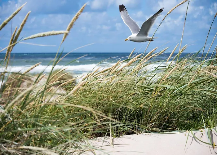 Near Belgian Coast With Terrace 아파트